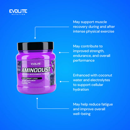 Evolite Nutrition Aminodust 474g